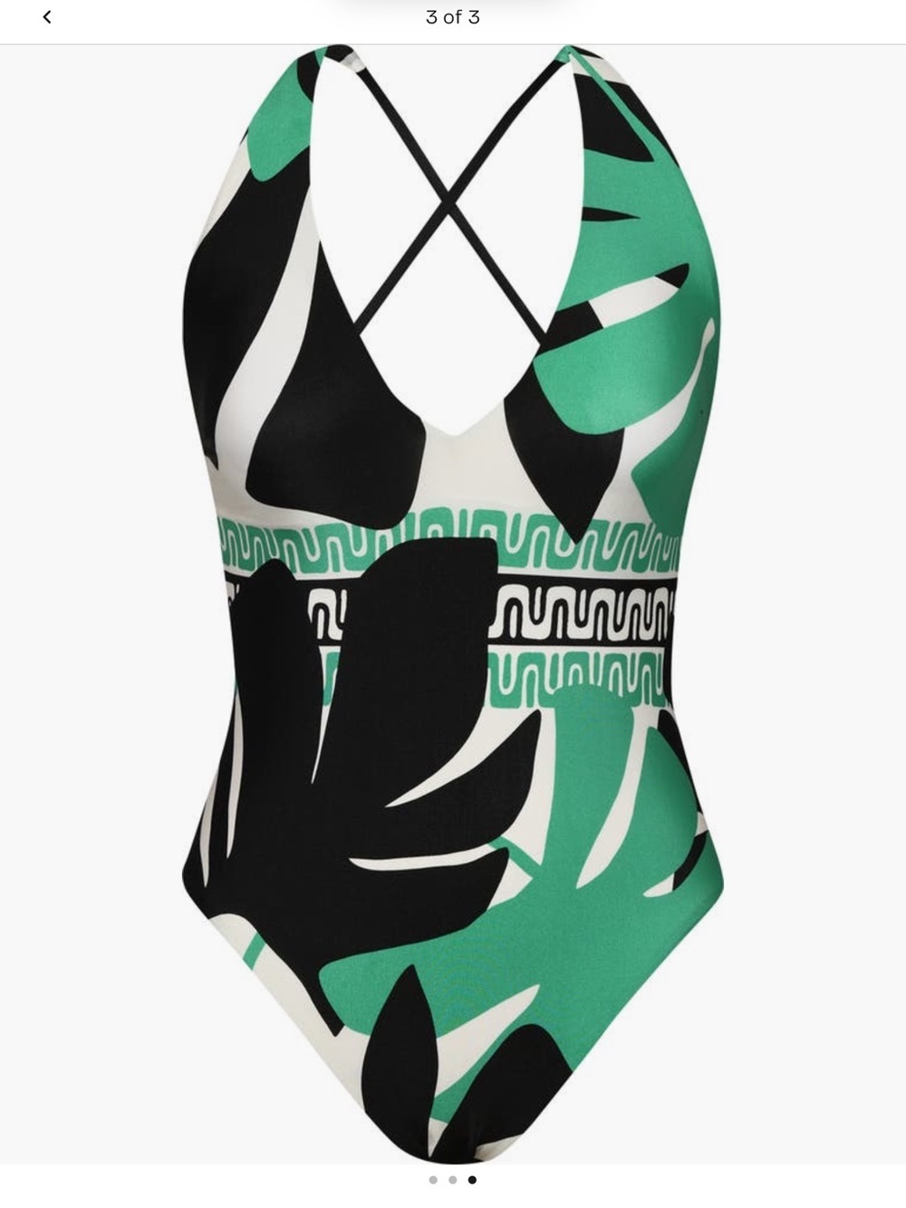 Sunshine 79 Matching one piece swimsuit and maxi coverup - Picture 11 of 11